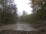 DSCN3941.JPG