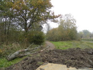 DSCN3948.JPG
