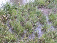 DSCN3956.JPG