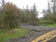 DSCN3960.JPG