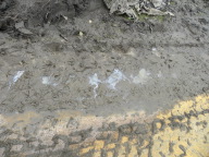 DSCN3962.JPG