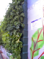 DSCN0393.JPG
