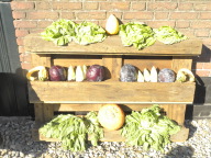 DSCN0402.JPG