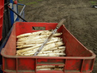 DSCN7189.JPG