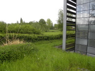 DSCN7193.JPG