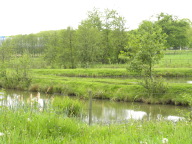 DSCN7196.JPG