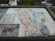 DSCN7198.JPG