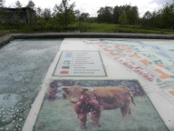 DSCN7199.JPG