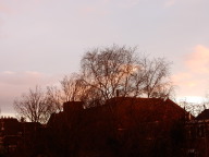 DSCN8135.JPG
