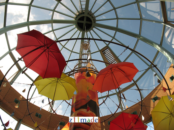 1.2008.heuvel.IMG_5266