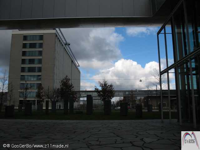 img_6739.jpg