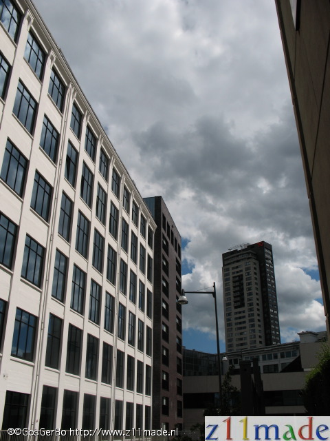 img_3798.jpg