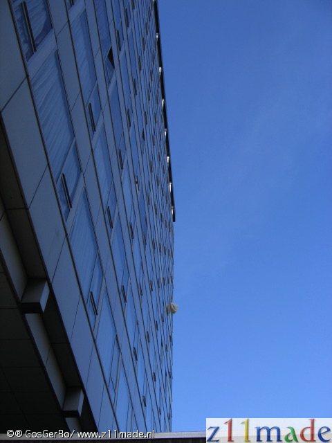 img_0551.jpg