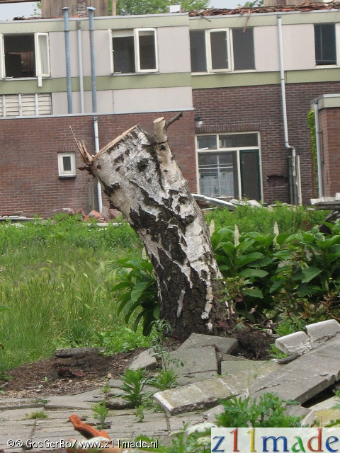 img_3105.jpg