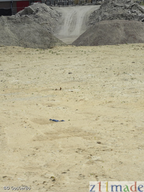 dscn9974.jpg