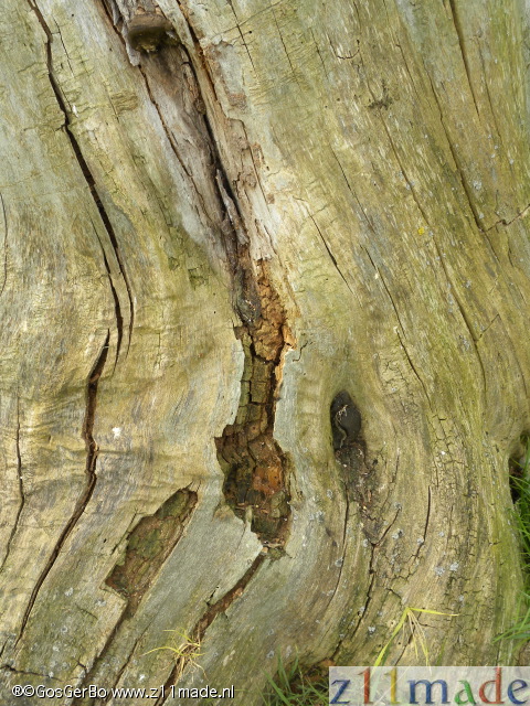 dscn9666.jpg