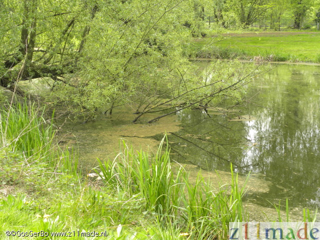 dscn9672.jpg