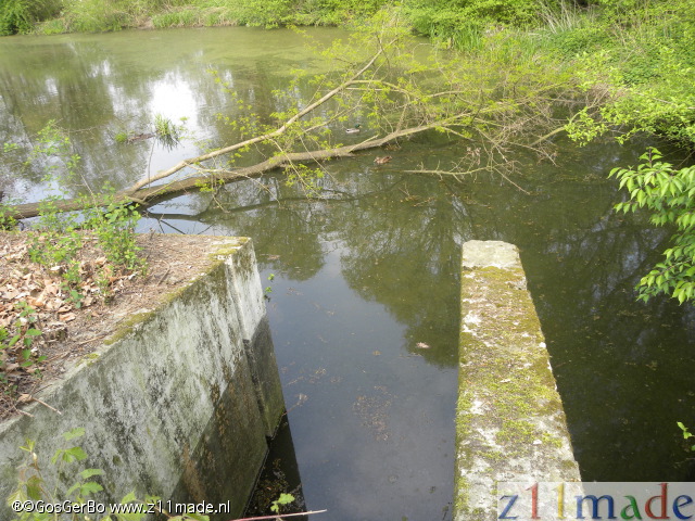 dscn9682.jpg