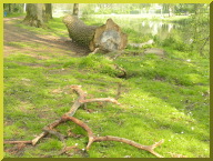 DSCN9699.JPG