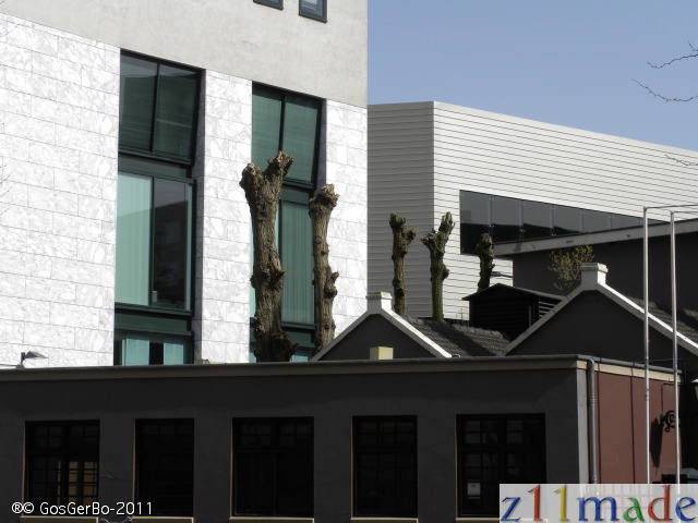 dscn9568.jpg