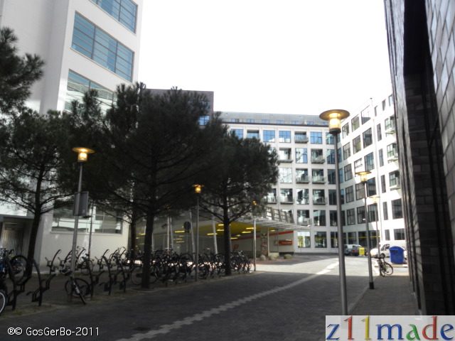 dscn9571.jpg