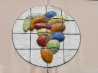 DSCN0050.JPG