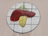 DSCN0051.JPG
