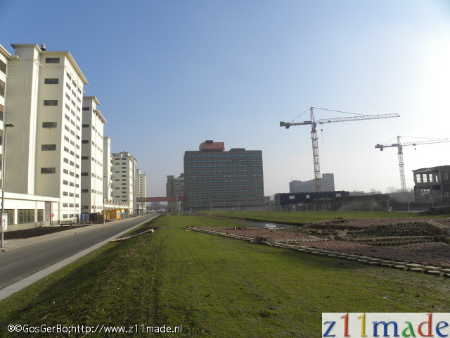 dscn8795.jpg