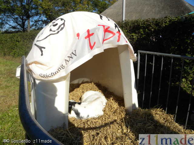 dscn0363.jpg
