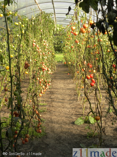 dscn0380.jpg