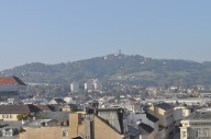 DSC_4837.JPG