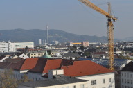 DSC_4853.JPG