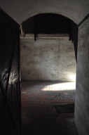 DSC_4877.JPG