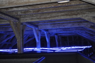 DSC_4880.JPG