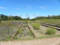 DSCN9577.JPG