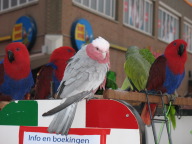 IMG_2545.JPG