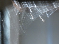 IMG_2567.JPG