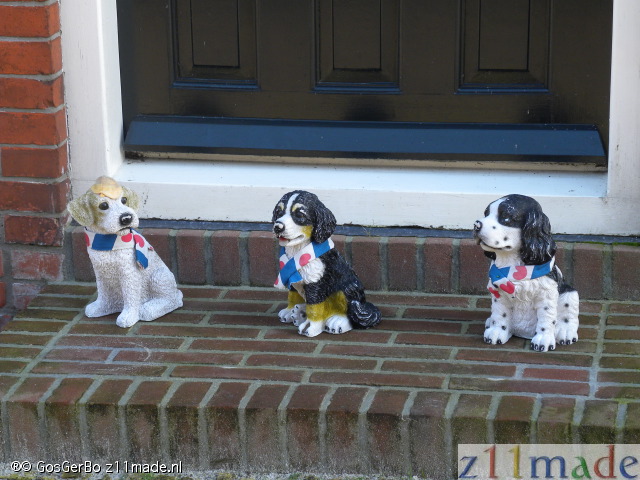 dscn0298.jpg
