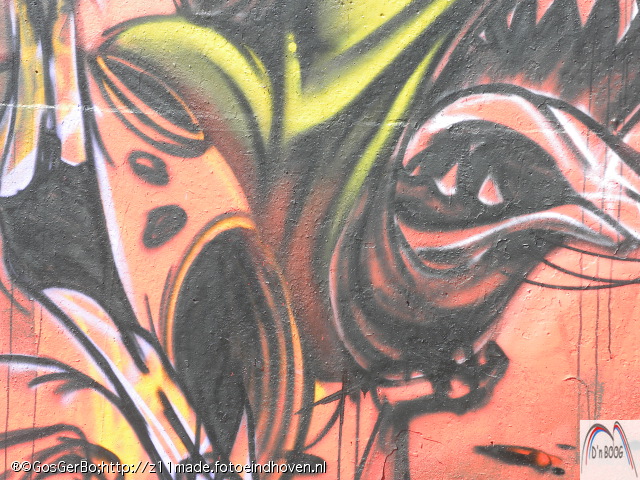 dscn5650.jpg