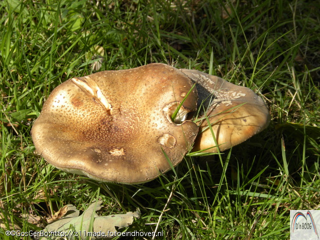 dscn5676.jpg