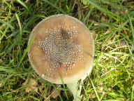DSCN5668.JPG