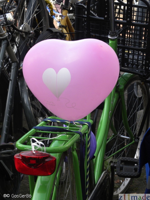 dscn0520.jpg