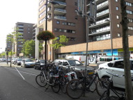 DSCN0533.JPG