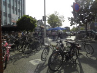 DSCN0542.JPG