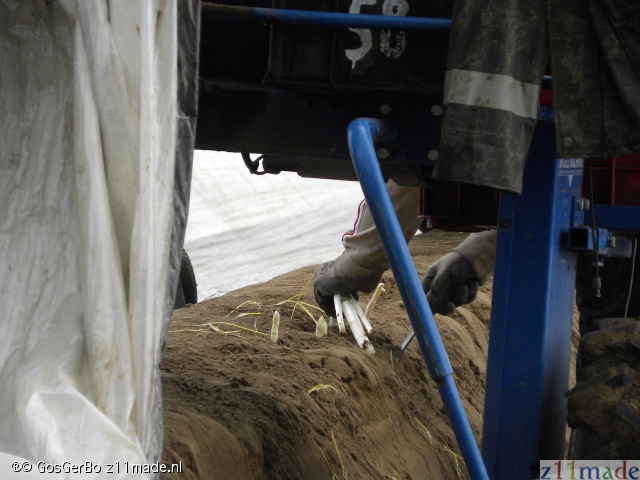 dscn7188.jpg