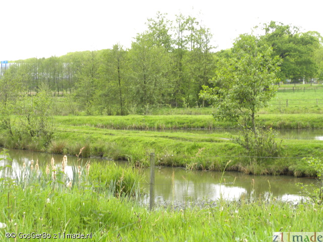 dscn7196.jpg