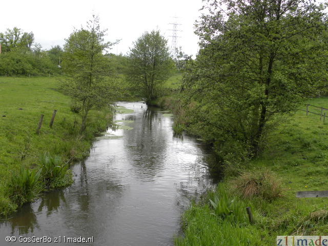 dscn7207.jpg