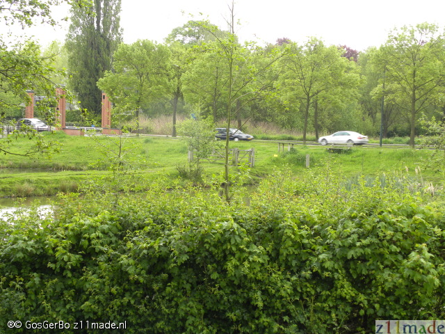 dscn7216.jpg