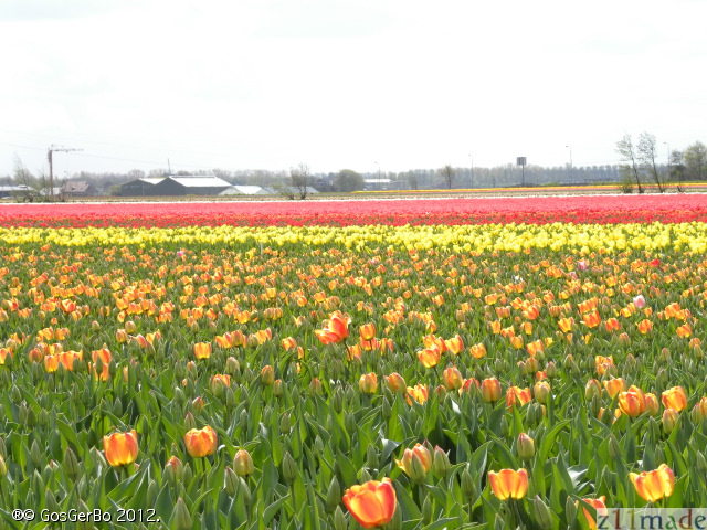 dscn6836.jpg