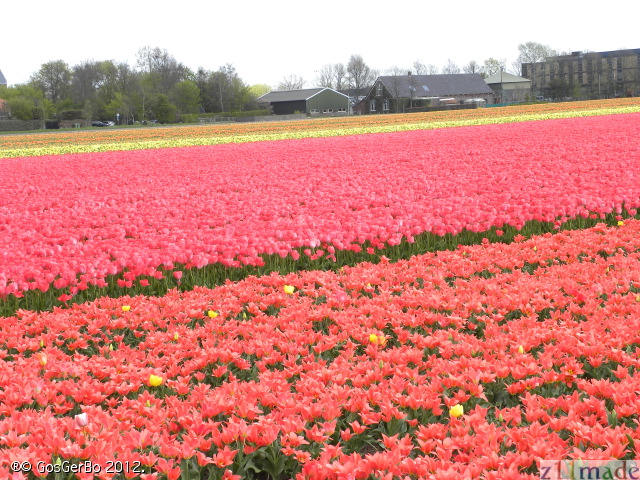 dscn6844.jpg